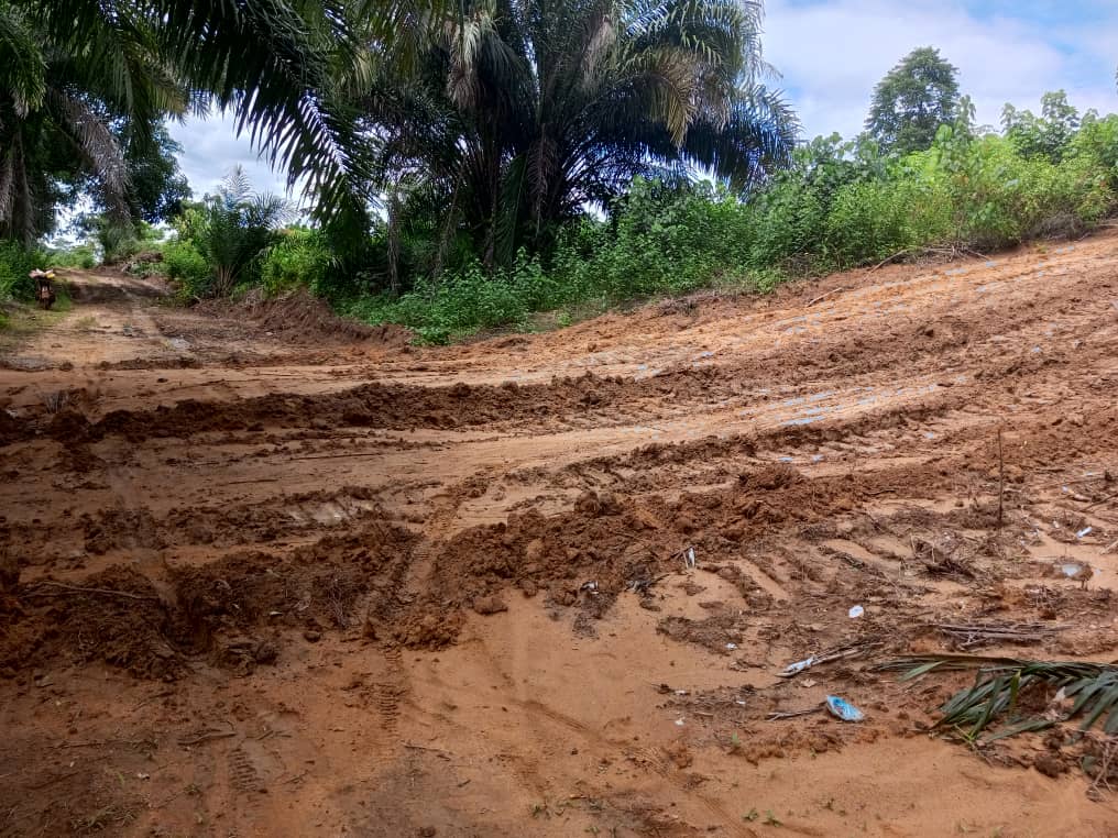 Terrain